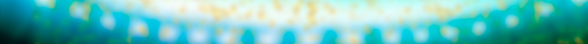 Banner superior